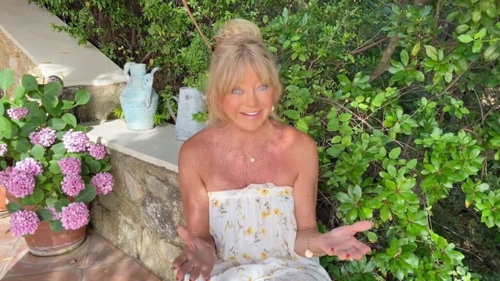 Goldie Hawn Net Worth: Find Out How She Built Her Fortune!